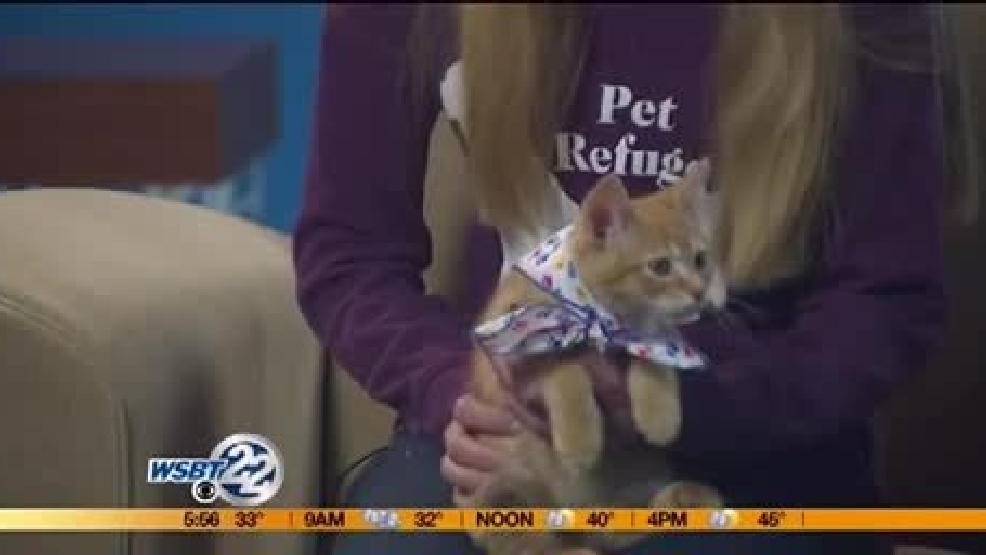 -img1-vid-Pet-Refuge-Pet-Olaf.jpg -img1-vid-Pet-Refuge-Pet-Olaf.jpg