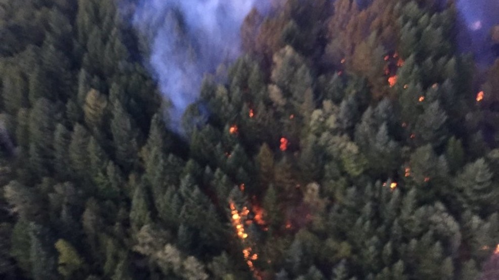 Evacuation lifted in area of brush fire in Mason County KOMO