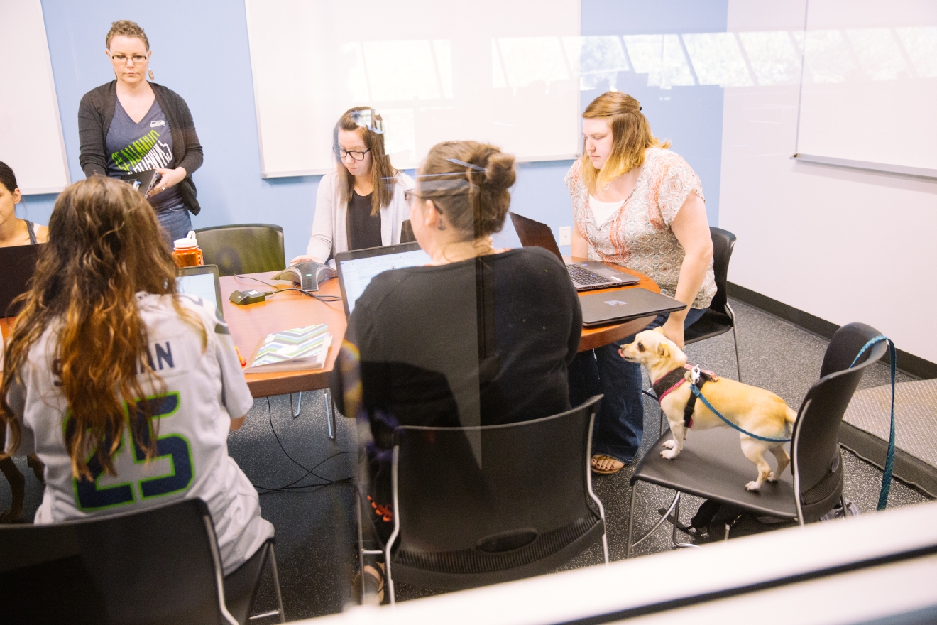 Photos The dogfriendliest offices in the city just got dogfriendlier
