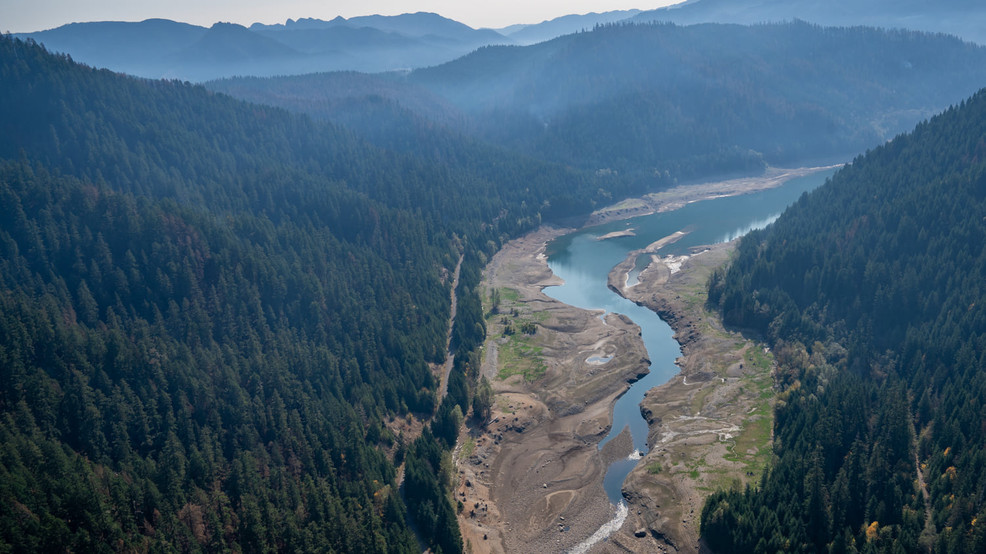 Ron Wyden and Peter Defazio aim to spearhead debris removal before it affects waterways