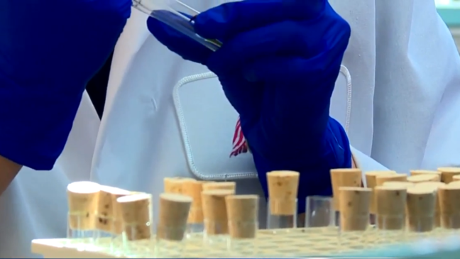 Prosecutor on untested rape kits: 'This will never happen in St. Joseph County again'