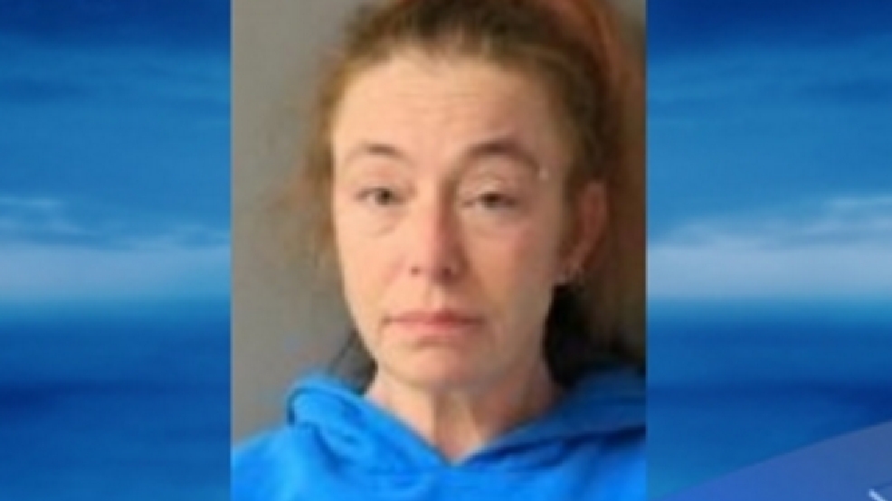 Vestal kidnapping case Victims' mother arrested WHAM