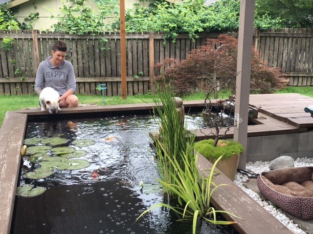 A Fish Tale: Local Dog And Koi Fish Form Unlikely Bond 