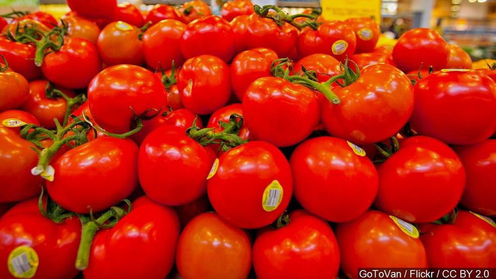 34th annual Tomato Festival to begin WSTM