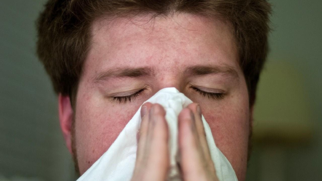 Image result for Fight bacterial infections