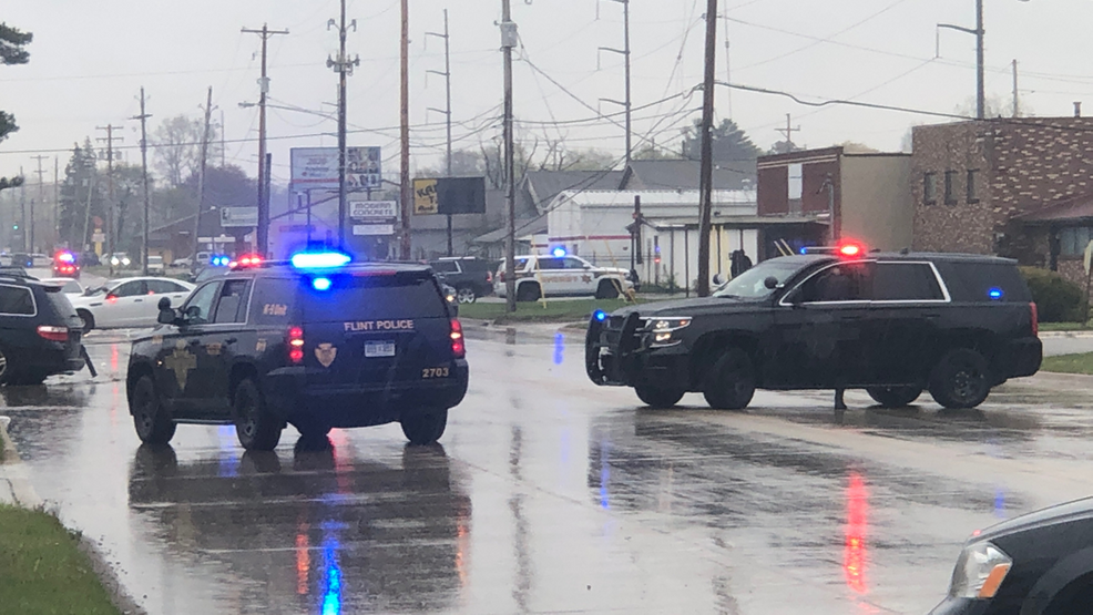 Police: Pursuit from hit & run ends in crash in Mt. Morris Twp. - nbc25news.com