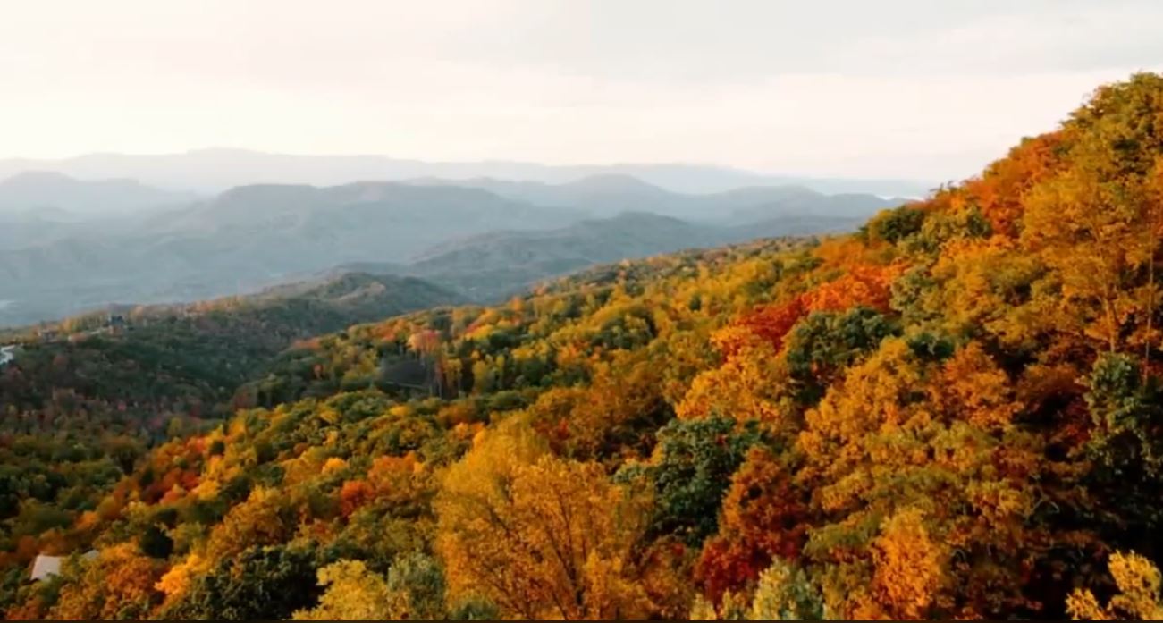 Peak fall foliage in Tennessee looks to be in late October, November WFLI