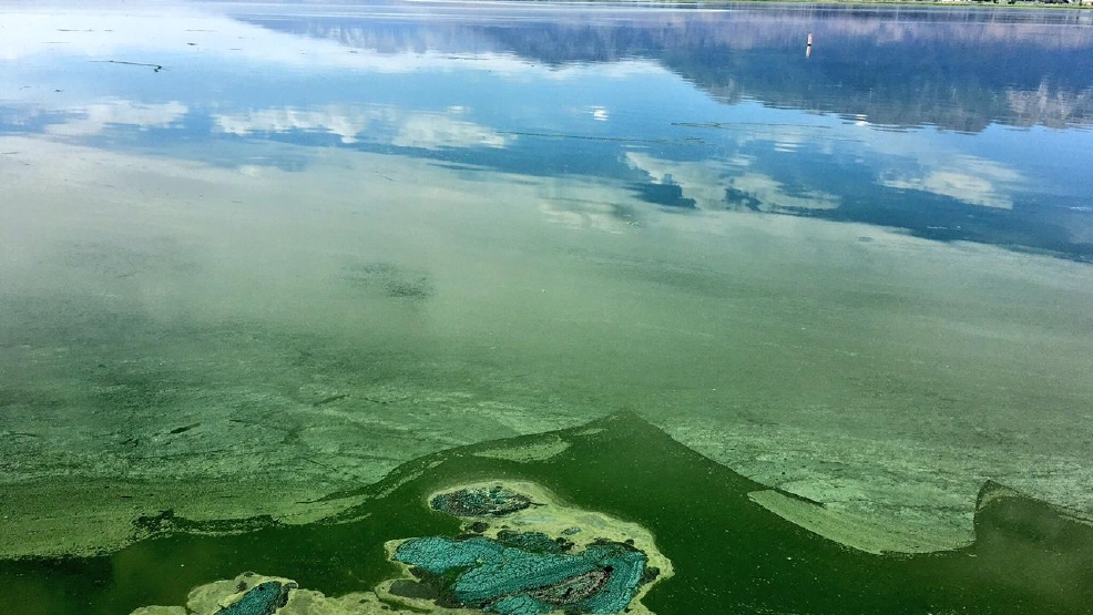 Officials Utah Lake algal bloom spreading to Jordan River, canals KUTV