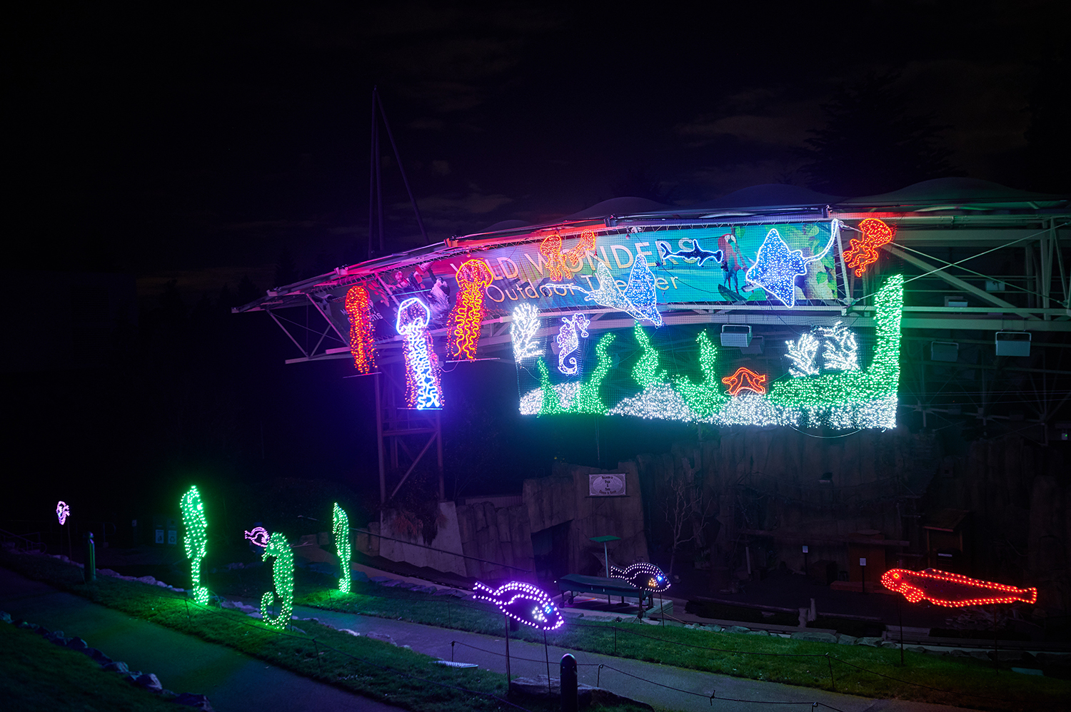 Photos A Walking Tour of ZooLights at Point Defiance Zoo & Aquarium