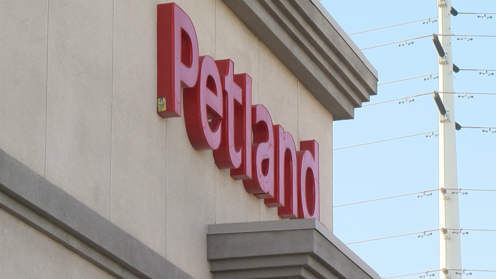 Henderson Petland owner must pay fine after overcrowding allegations  KSNV