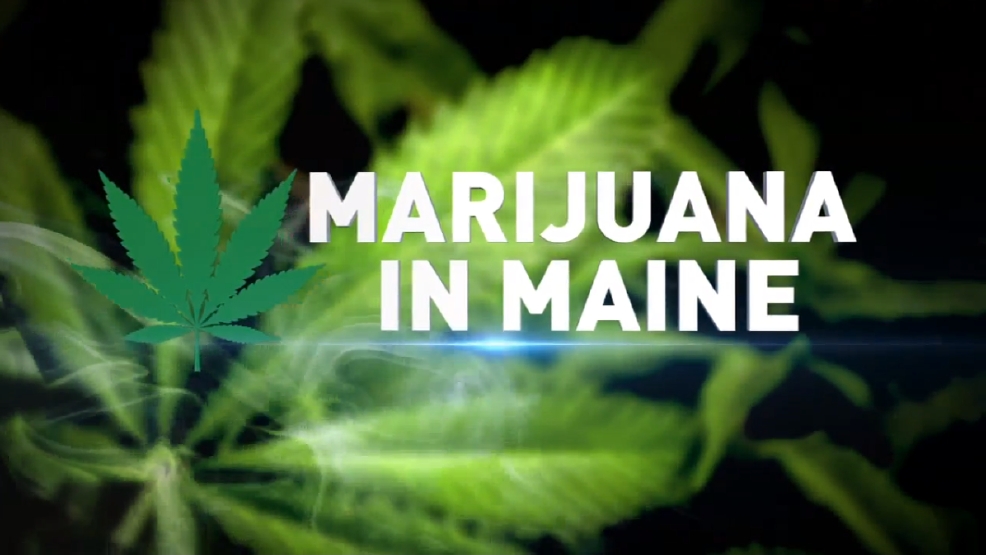 ON YOUR SIDE: Marijuana in Maine | WGME