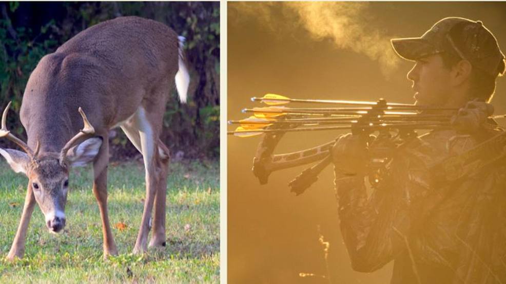 Deer season opens for bow hunters in WTVC