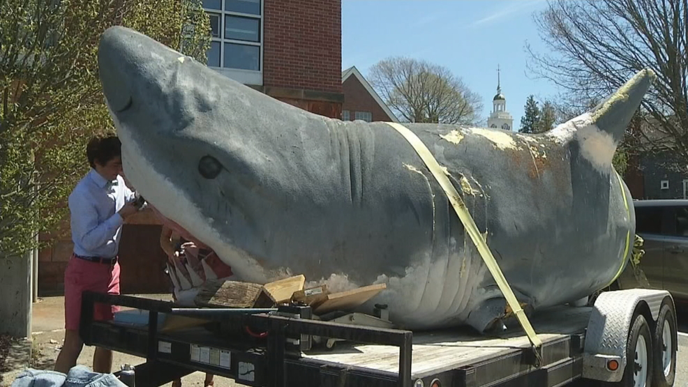 Former Mardi Gras shark getting a facelift | WJAR