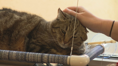 Special Employee Brought In To Help With Issue At Henderson County Courthouse Wlos